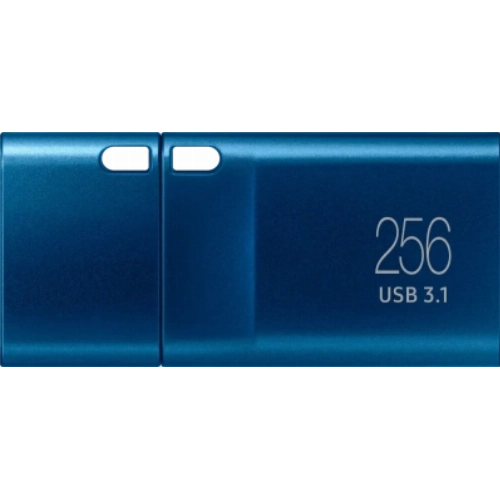 Samsung MUF-256DA/APC 256Gb USB3.1, Type-C