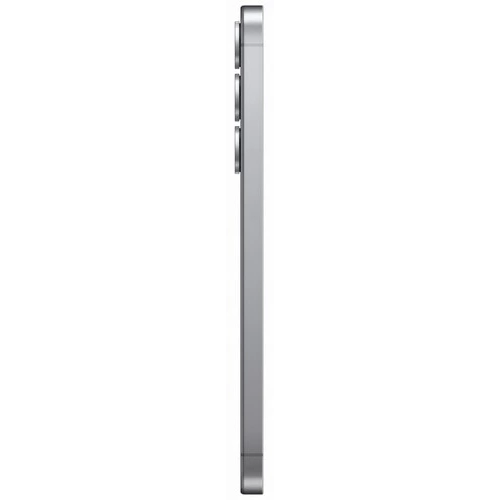 Смартфон Samsung Galaxy S25, 12.512 Гб, Silver Shadow, серый